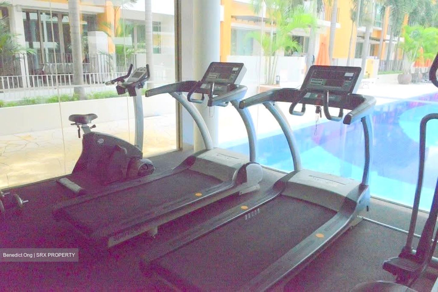 Tangerine Grove (D19), Condominium #578662841